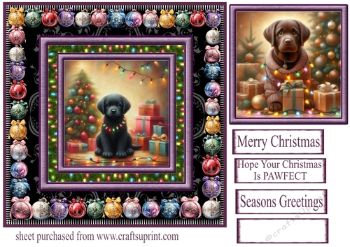 Labrador Christmas fairy light card front 6