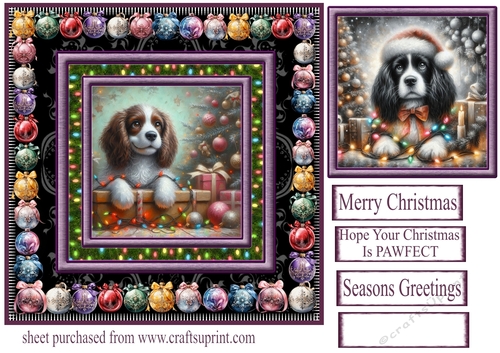 Springer Spaniel Christmas fairy light card front 