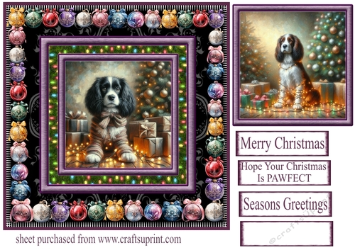 Springer Spaniel Christmas fairy light card front 2