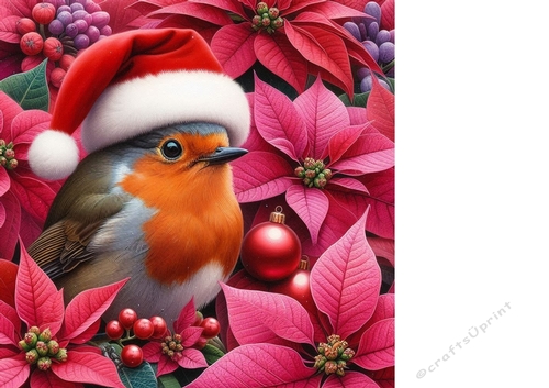 Poinsettia robin background 3