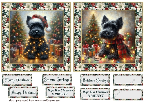 2 Framed Christmas lights Scottie card fronts 5