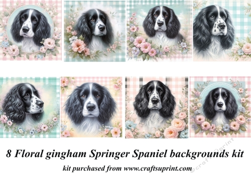 8 Floral gingham black and white Springer Spaniel backgrounds kit