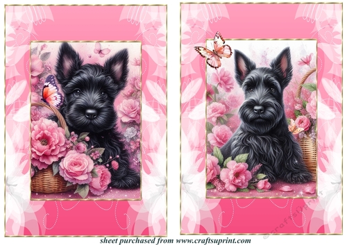 2 Pink floral Scottish terrier card fronts 2