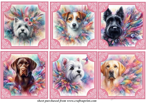 6 Feather and glitter dog toppers 3