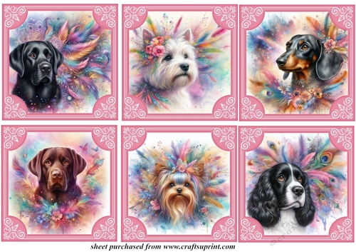 6 Feather and glitter dog toppers 5
