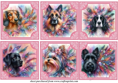 6 Feather and glitter dog toppers 6