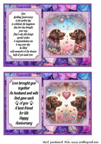2 Chocolate Labrador Anniversary 7x5 card fronts
