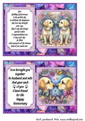 2 Yellow Labrador Anniversary 7x5 card fronts