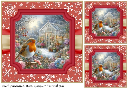 3 Red Christmas garden robin card front/toppers 1