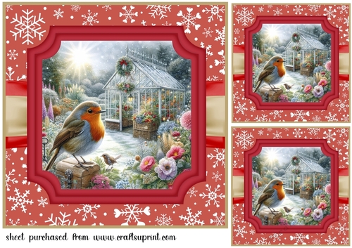 3 Red Christmas garden robin card front/toppers 4