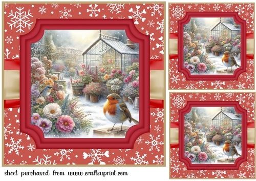 3 Red Christmas garden robin card front/toppers 7