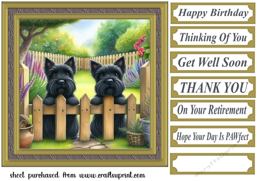 Scotties at the fence card front 2