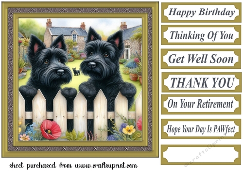 Scotties at the fence card front 5