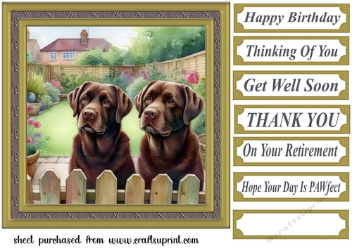 Chocolate Labradors by the fence card front 1