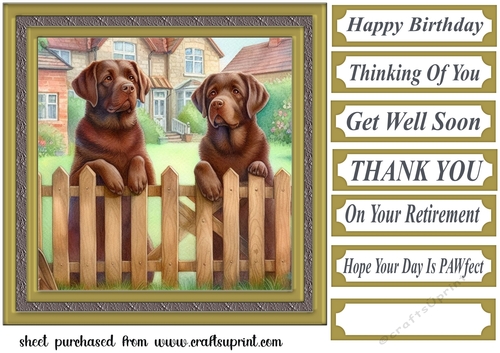 Chocolate Labradors by the fence card front 2