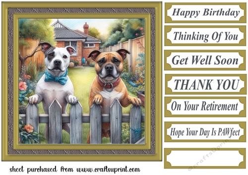 Staffy by the fence card front 1