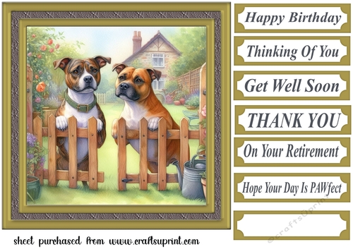 Staffy by the fence card front 2