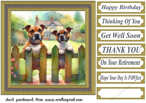 Staffy by the fence card front 3