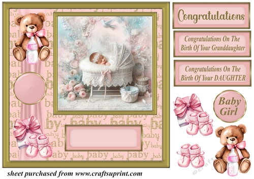 Framed new baby girl card front 2