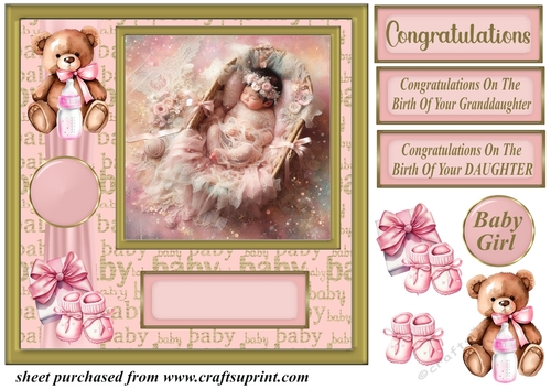 Framed new baby girl card front 4