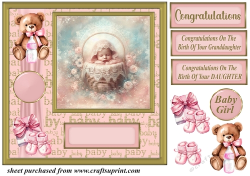Framed new baby girl card front 5