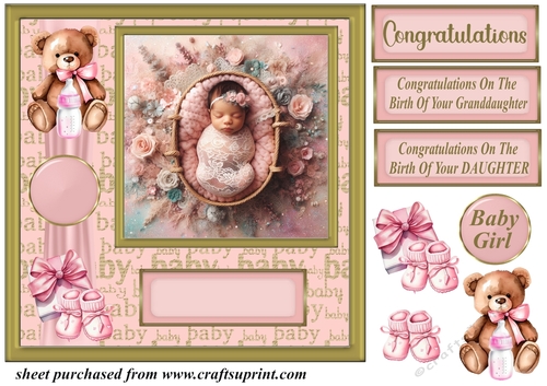 Framed new baby girl card front 6