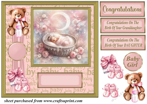 Framed new baby girl card front 7