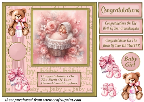 Framed new baby girl card front B