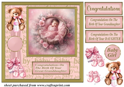 Framed new baby girl card front C