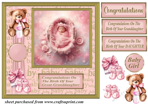 Framed new baby girl card front D