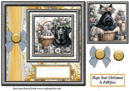 Hope your Christmas is Pawfect card front 11