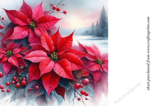 Christmas poinsettia background 1