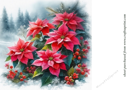Christmas poinsettia background 3