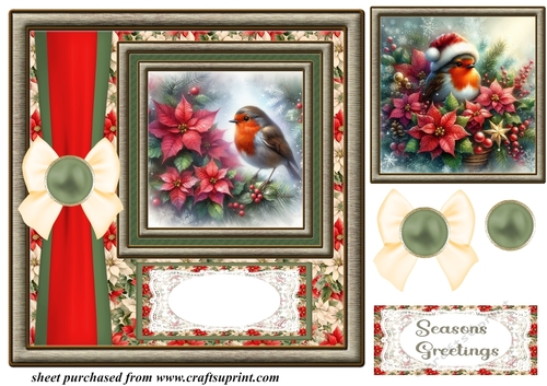 Christmas poinsettia robin card front 1
