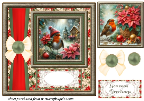 Christmas poinsettia robin card front 2
