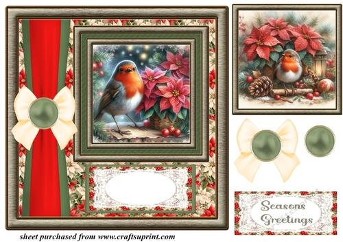 Christmas poinsettia robin card front 3