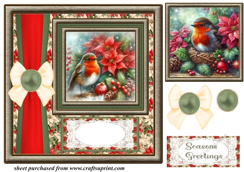Christmas poinsettia robin card front 4