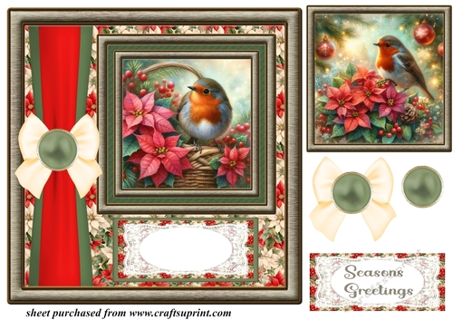 Christmas poinsettia robin card front 6