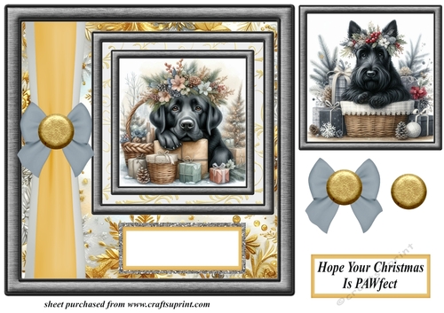 Hope your Christmas is Pawfect card front 14