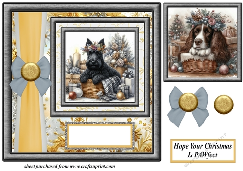 Hope your Christmas is Pawfect card front 16