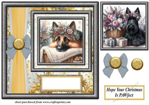 Hope your Christmas is Pawfect card front 20