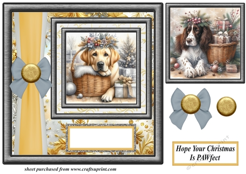 Hope your Christmas is Pawfect card front 21