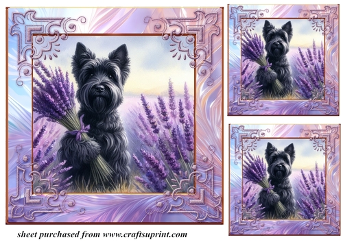 3 Lavender Scottie card front/toppers 1