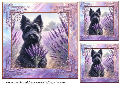 3 Lavender Scottie card front/toppers 2