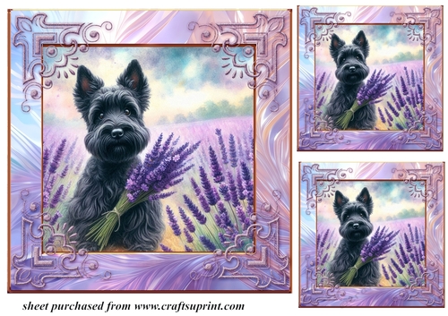 3 Lavender Scottie card front/toppers 3
