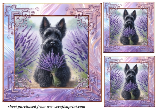 3 Lavender Scottie card front/toppers 4