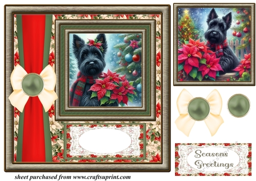 Framed poinsettia Scottish terrier card front 1