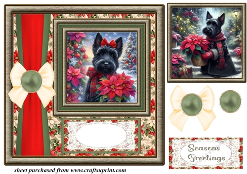 Framed poinsettia Scottish terrier card front 5