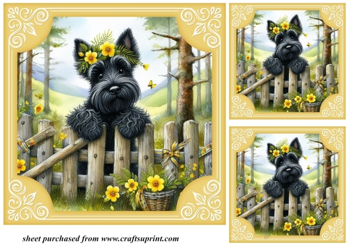 3 Yellow floral Scottie card fronts/toppers 2