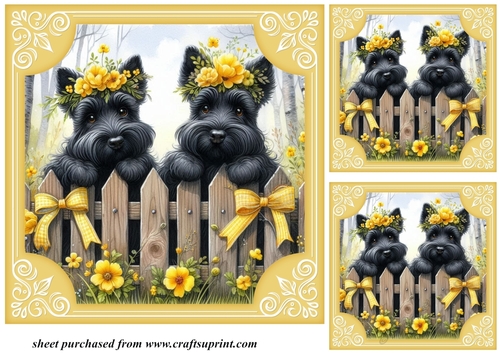 3 Yellow floral Scottie card fronts/toppers 3